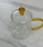 雅集玻璃茶壶 过滤泡茶壶家用耐高温茶水分离泡茶器单壶500ml 实拍图