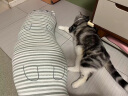 乐瓜睡觉抱枕床上等身长条抱枕宠物猫陪睡玩偶侧睡夹腿枕成人生日礼物 实拍图