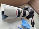 佳能 Canon 70-200 f2.8L f4 IS II二手镜头二代小白兔大白单反长焦人像远射 佳能EF 70-200 F4L USM 小小白 99新 实拍图