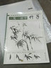正统国画技法入门 一笔一画学竹子 实拍图