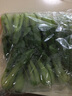 油菜 上海青 小油菜小青菜 新鲜蔬菜500g 禾人 500g装 实拍图