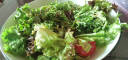 新鲜沙拉蔬菜组合 混合蔬菜沙拉菜 健身健康轻食蔬菜 新鲜当季蔬菜 1000g 5-8种蔬菜组合| 5-7餐 |需切洗 晒单实拍图