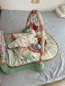 babycare婴儿健身架器脚踏钢琴0-1岁新生儿满月礼物宝宝玩具奥尼克狮子 实拍图