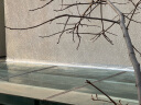 维芙WEFV屋顶丁基胶防水胶带强力补漏材料房顶裂缝漏水堵漏防漏贴卷材 实拍图