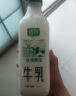 新希望 遇鲜鲜牛奶 255ml*4瓶 巴氏杀菌鲜牛奶 实拍图