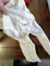 贝瑞加（Babyprints）婴儿裤子2条装男女宝宝纯棉长裤儿童护肚高腰裤家居裤 黄熊80 实拍图