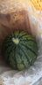 闪狼庞各庄吊秧西瓜新鲜6粒18斤左右 水果现摘现发 红玉小西瓜 L600 庞各庄小西瓜6粒27斤左右 实拍图