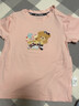 Classic Teddy儿童短袖男童T恤女童上衣夏季新款童装宝宝衣服半袖夏装1 哈喽女同色插肩梦幻粉 110 实拍图
