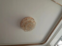 伦西亚（LUNXIYA） 水晶led吸顶灯客厅灯后现代简约圆形餐厅灯卧室广东中山灯具灯饰 （圆）直径80CM/三色LED变光 实拍图