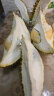 沂蒙花果山榴莲泰国金枕头鲜果带壳整果树熟水果5-6斤1个装A果包4房 实拍图