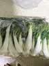 芸岭鲜生【有机】奶白菜250g 实拍图