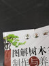 图解树木盆景制作与养护 盆景书籍盆栽图书大全树木盆景造型设计书栽培技术盆景栽培技术书中小型盆景制作图解家庭园艺书 实拍图