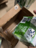 德运（Devondale）澳大利亚进口纯牛奶 年货礼物送礼礼品生牛乳 200mL24盒脱脂 实拍图