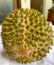 马来西亚猫山王榴莲整个D197（带壳） 单果2.5-3.0斤 冷冻鲜榴莲新鲜水果生鲜 晒单实拍图