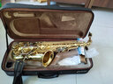 星海（XINGHAI INSTRUMENT）中音萨克斯 降E调萨克斯乐器 初学者演奏儿童 学生考级款萨克斯 演级款XAS-160/Eb调中音萨克斯 实拍图