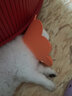 唐宠 伊丽莎白圈猫幼猫项圈猫咪吐司耻辱圈猫脖圈绝育手术防舔可调节 白色字母M码(建议6-13斤) 伊丽莎白圈 实拍图
