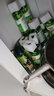 立白茶籽洗洁精食品级99%除菌去油除味洗碗精洗涤剂宝宝餐具果蔬适用 【整箱囤】茶籽洗洁精1kg*10瓶 实拍图