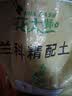 花大师 君子兰专用土营养土君子兰土专用营养土花土盆栽土壤种植土肥料 升级版精配土7升 含多种石料礼品 实拍图