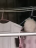 宅一起【三个装】宅一起渐变色浴球沐浴花浴室用品起泡搓澡球 混色【3个装】 实拍图