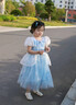 蓓然美灰姑娘公主裙秋爱莎连衣裙艾莎爱丽丝生日礼服儿童公主裙演出服 灰姑娘A 120 实拍图