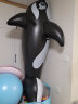 INTEX58561大黑鲸成人儿童水上充气坐骑浮排浮床戏水冲浪浮板玩具 晒单实拍图