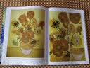 西方绘画大师经典佳作：梵·高（高清细节版）（绘客出品） 实拍图