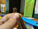 康森（KANGSEN） 温州特产康森牛肉正宗温州风味湖岭黑牛肉干450g湖岭新垟滩牛肉干 实拍图