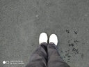 安踏男鞋休闲运动鞋新款网面透气板鞋跑步鞋子男户外训练体测鞋 -2象牙白/芯片灰 39 实拍图