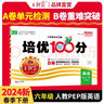 王朝霞培优100分六年级语文下册人教版 小学语文同步试卷AB卷下册培优达标卷单元过关检测卷期中期末考试卷名师教你冲刺100分必刷题必刷卷天天练 2024 实拍图