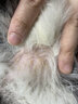 普安特猫咪狗狗宠物皮肤病猫狗藓真菌黑下巴螨虫瘙痒湿疹皮普特皮肤喷剂 皮普特喷剂+软膏+沐浴露（皮肤沐浴调理） 实拍图
