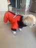 SLPC狗狗衣服冬天保暖中小型犬加厚四脚狗棉衣泰迪柯基小狗幼犬冲锋衣 橙 XL（适合约12-15斤） 实拍图