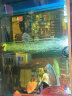 海豚（PORPOISE）七彩神仙鱼饲料160g缓沉型颗粒增色增艳 热带鱼专用七彩鱼食 实拍图