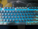 达尔优 EK815机械合金版87白蓝机械键盘游戏键盘有线CF吃鸡LOL男女学生笔记本电脑通用 87键蓝白地中海青轴【多种发光模式】 实拍图