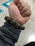 鼎枫 加里曼丹沉香手串108颗佛珠老料男女文莱达拉干沉香木手链佛珠 加里曼丹沉香16mm14颗 实拍图