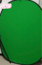 贝阳（beiyang）1.5*2米蓝绿抠像板背景布摄影加厚拍照双面绿幕直播间纯色背景墙抠像布补光灯拍摄道具绿布 实拍图