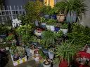 盈姿 花架不锈钢防腐大花架阳台铁艺多层花架子室内外定制多肉阶梯 四层【长150cm]3腿 实拍图