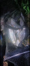 小凤仙鱼漂碎目超灵敏纳米漂醒目加粗尾黑坑野钓专攻轻口滑口鲫鲤鱼浮漂 RNS-08大鲫大鲤3目加粗【2.7g】 单支装 实拍图