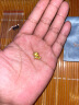 SoinLove大小金马黄金转运珠生肖马足金VR923-VR924 多款可选  520礼物 小金马转运珠VR924 实拍图