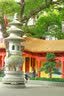 佳能/Canon 600D 700D 750D 760D 800D 850D新手学生入门旅游高清二手单反相机 750D+18-55 IS STM【套机】 准新 实拍图
