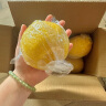 京鲜生 塔西提无籽青柠檬 500g装5-8个单果60g+新鲜水果源头直发包邮 晒单实拍图
