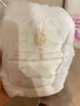海豚爸比【新品尝鲜10片】熊出没“从芯出发”超薄尿裤拉拉裤试用 拉拉裤XL 5片x2包【18至22斤】 实拍图