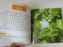 花卉小百科（1分钟儿童小百科）软包精装 有声伴读 注音版 科普读物 3-6-8岁 幼儿园 一二三年级 早教发声书 点读书 实拍图