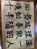 御宝阁 毛笔套装初学入门套装笔墨纸砚文房四宝练毛笔字帖小学生儿童白云笔软笔练习书法用品收纳盒 【狼毫套装】 {初学者练习 一套就够了} 实拍图