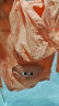 乖奇熊UPF50+婴儿薄款防晒衣防紫外线夏季空调服宝宝卡通上衣连帽小外套 粉橙/小兔乖乖 100 晒单实拍图