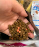 麦富迪（Myfoodie）猫粮 冻干鲜粮三文鱼鸡肉全期猫粮 5.4kg 实拍图