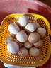 我老家农家养现捡新鲜初生蛋谷物柴鸡蛋盒装 谷物蛋20枚800g 实拍图