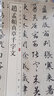 赵孟頫临圣教序 中华经典碑帖彩色放大本 中华书局自营正版 实拍图