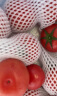 绿行者（GREER）小粉番茄5斤 源头直发水果沙瓤生吃西红柿新鲜蔬菜轻食酸甜多汁 实拍图