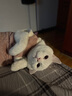 昙蓓漫猫咪衣服防掉毛夏季猫咪狗狗衣服宠物衣服幼猫中小型犬春秋衣服 粉色熊熊头(XL码建议8-12斤) 【猫狗通用/透气舒适】 实拍图