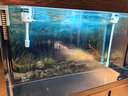 金利佳（Jeneca）鱼缸过滤器三合一吸水泵滤盒水族箱上滤上置循环过滤槽壁挂增氧 【白色双过滤器】适长90-107CM 实拍图